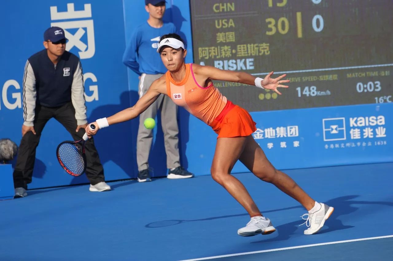 年的努力的 年的努力的